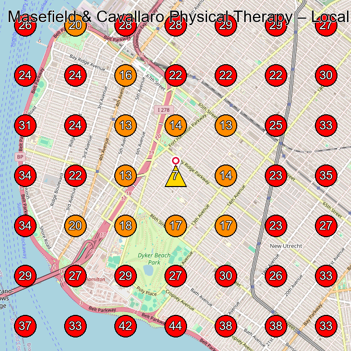 Masefield & Cavallaro Physical Therapy GeoGrid visibility map for Pilates Studio in Brooklyn